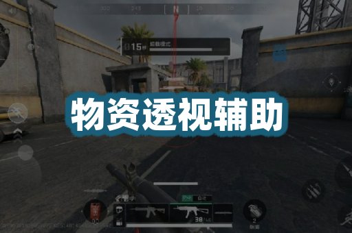物资透视辅助